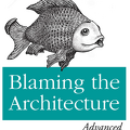 blamingthearchitecture-big