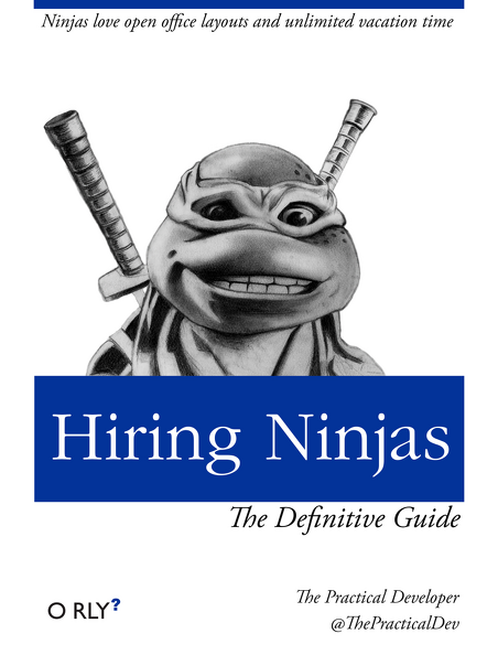 hiringninjas-big.png