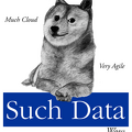 suchdata-big
